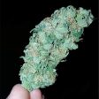 white-russian__primary_009e