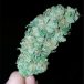 white-russian__primary_009e