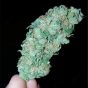 white-russian__primary_009e