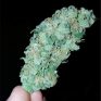 white-russian__primary_009e