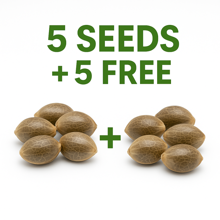 Which Cannabis Seed Store Has the Best Deals?