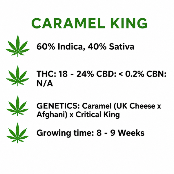 caramel king info