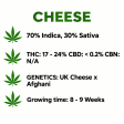 cheese